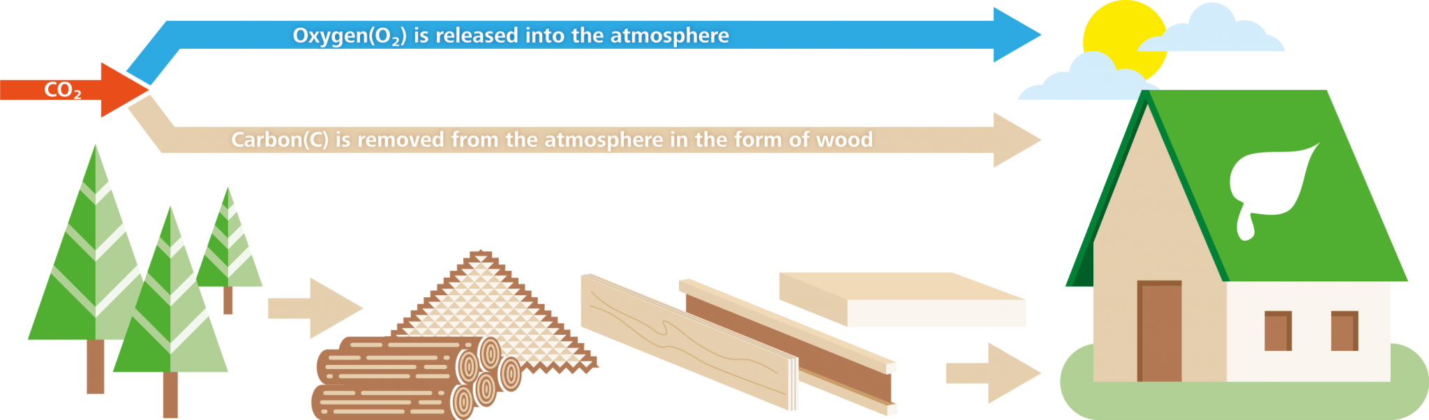 The advantages of timber in construction environment Beyond Zero Homes